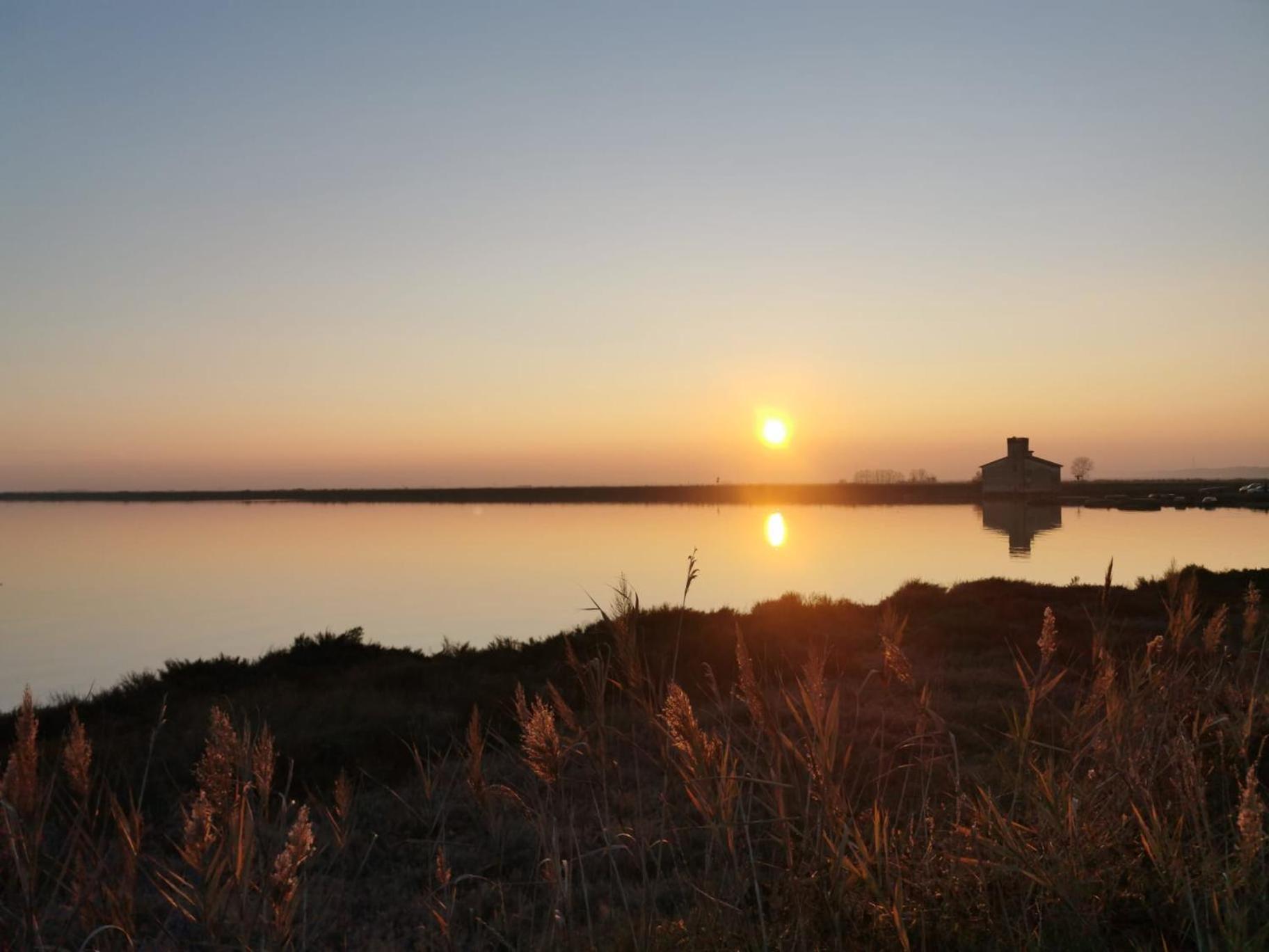 Comacchio Experience - Ospitalita Diffusa 리도 디 폼포사 외부 사진